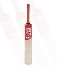 HRM Kids Kashmir Willow Cricket Bat