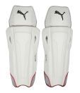 Puma Pulse 5000 Flex Tech Cricket Wicket Keeping Pad