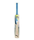 Puma Karbon Gt Kashmir Willow Cricket Bat (Size 7)