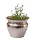 Live n Style Pretty Nickel Finish Iron Planter