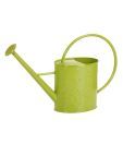 Live n Style Green Iron Water Can