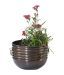 Live n Style Exquisite Concentric Circle Pattern Large Planter