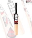 SS Slogger Kashmir Willow Cricket Bat