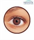 Freshlook Colour Blends (2 Lens Pack) Honey