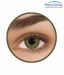Freshlook one Day (10 Lenses Pack) Green