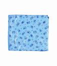 Advance Baby Blue Spongy Plastic Sheet