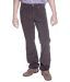 Urban Navy Dark Brown Corduroy Jeans