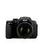 Nikon Coolpix P520 18.1MP Point & Shoot Digital Camera (Black)