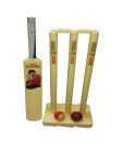 BSA Champ Cricket Kit