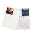 Brustro Canvas Board Medium Grain (18x24 Inches) (Pack Of 2)