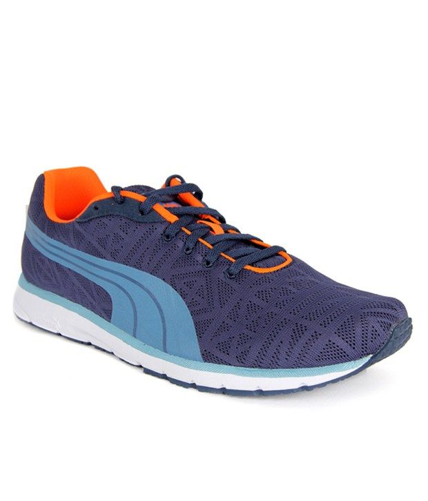 blue and orange puma