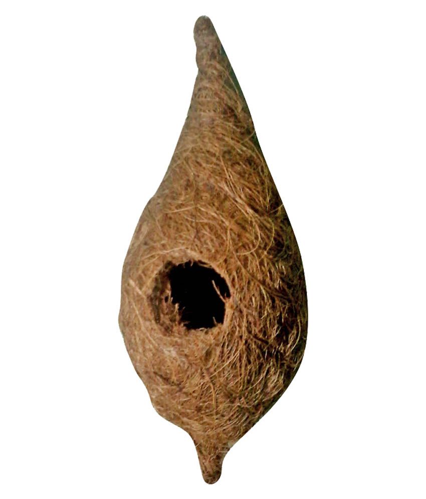 Namasivayam Tailor Bird Nest: Buy Namasivayam Tailor Bird Nest at Best