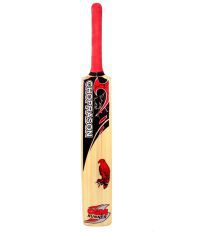 CSM Hard Hitter Full Size Himachal Willow Tennis & Duce Ball Cricket Bat With Short Handle