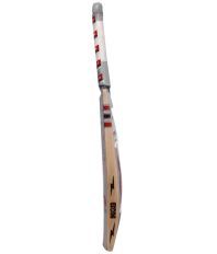 BDM Master Blaster English Willow Cricket  Bat (Harrow, 1100-1300 g) 