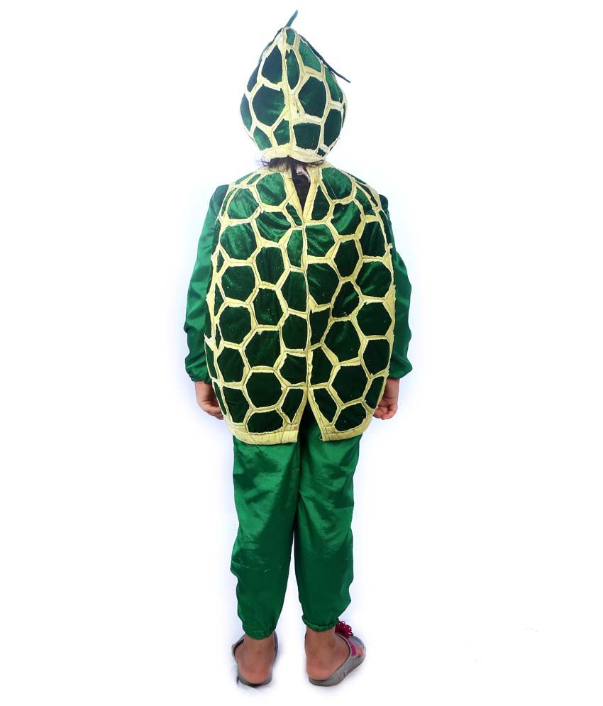 SBD Custard Apple Fruit Fancy Dress Costume For Kids - Buy SBD Custard ...