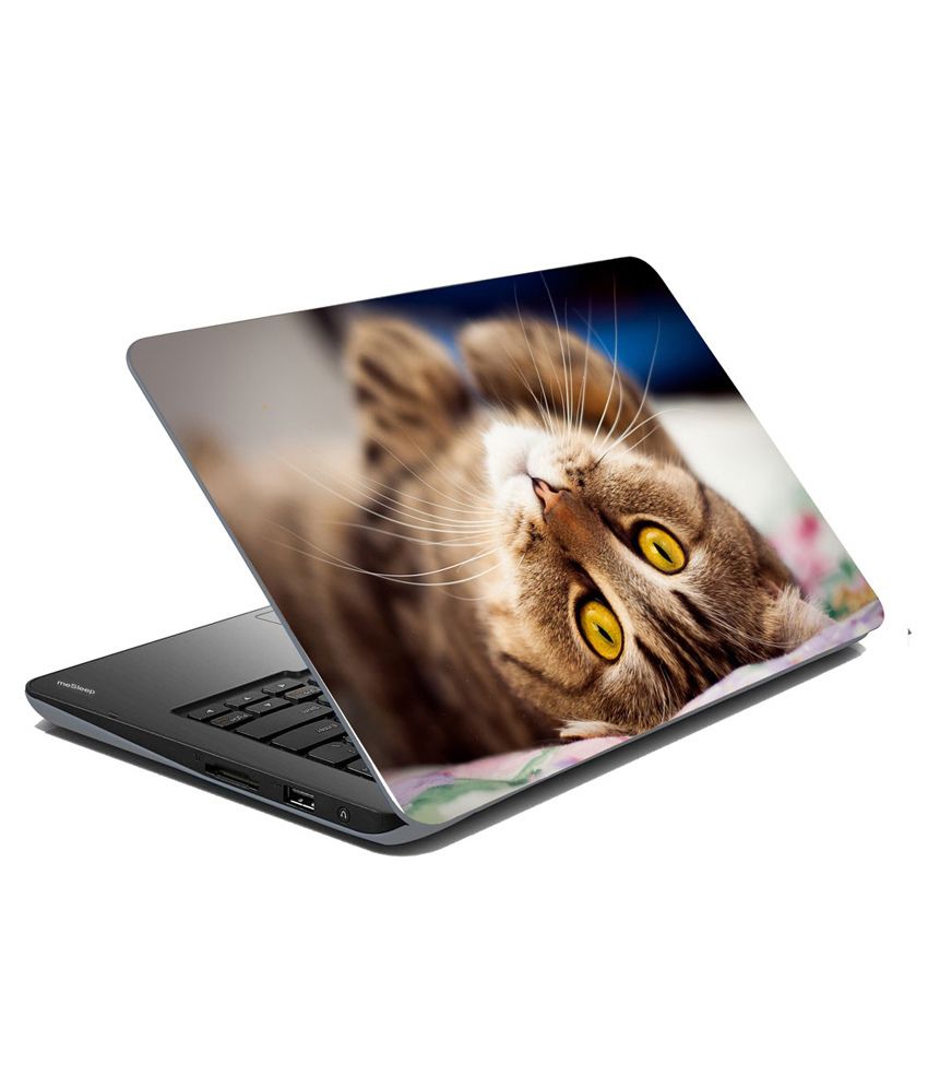 meSleep Cat Laptop Skin - Buy meSleep Cat Laptop Skin ...