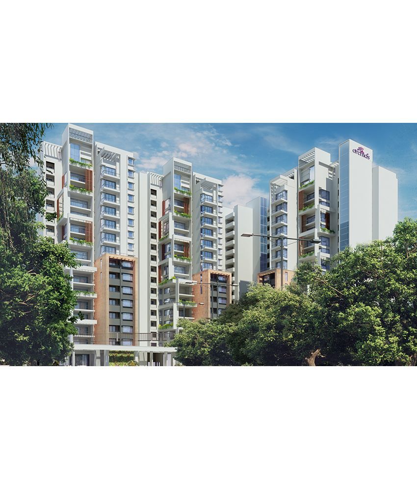 Orchids by Golden Gate Group, Bangalore Book Orchids by Golden Gate