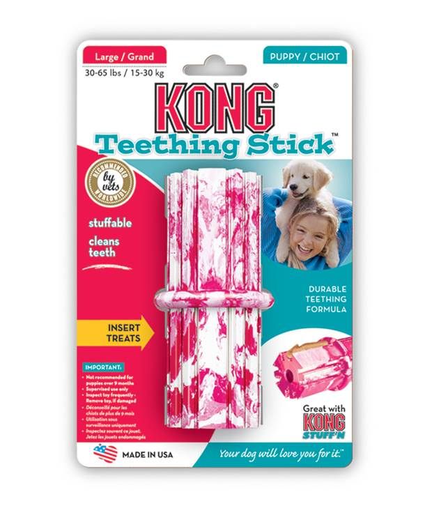 what can i put in kong for puppy