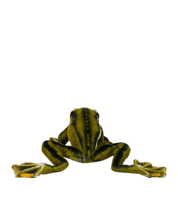 frog soft toy online