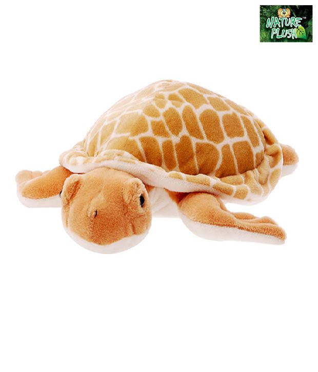 green turtle soft toy