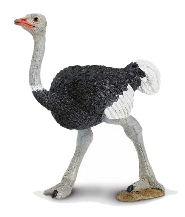 Safari Ltd WS Wildlife OstrICh Action Figures - Buy Safari Ltd WS ...