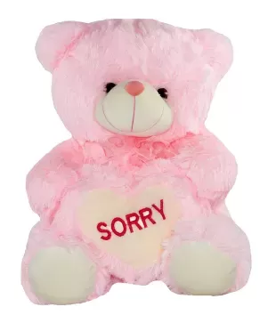 sorry teddy bear online
