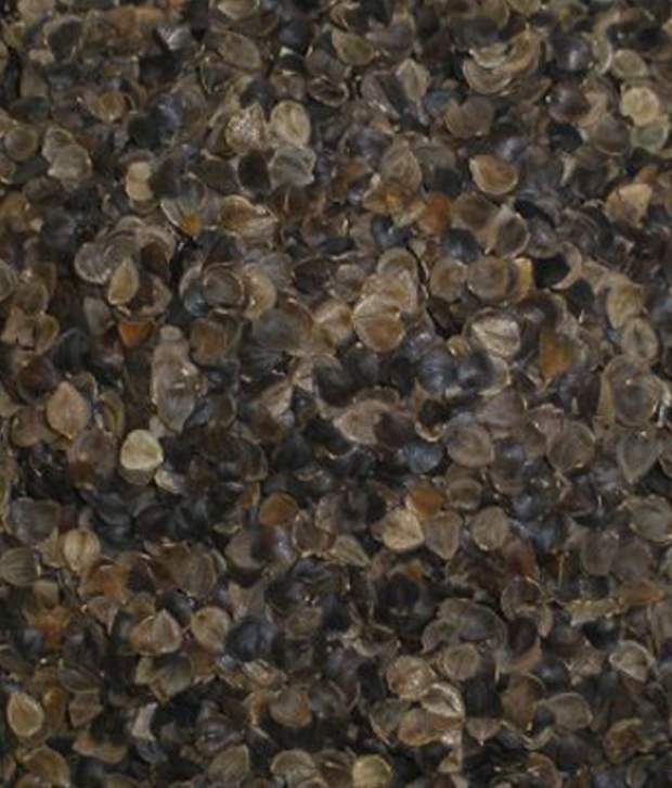 Organic Buckwheat Pillow King Size 20 X 36 Buy Organic