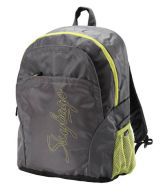 Skybags Pulse-02 Back Pack Gry