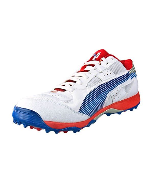 puma evospeed cricket shoes