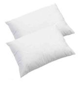 FabLooms Pristine Pillows- Set Of 2
