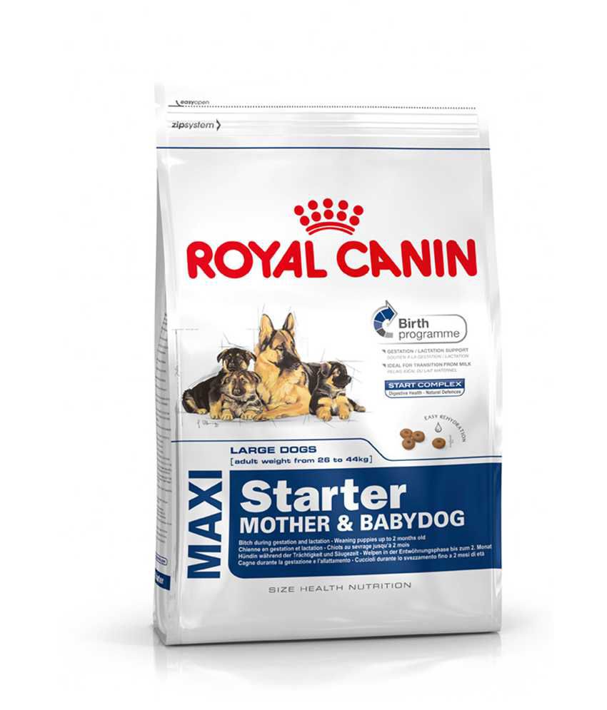 Royal Canin Dog Food Maxi Starter 4 Kg
