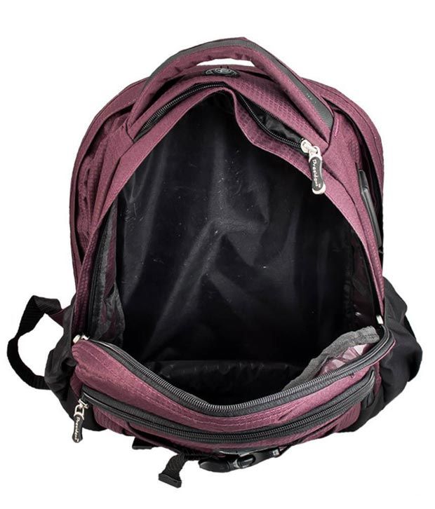 President Macho Violet Laptop Backpack Buy President Macho Violet