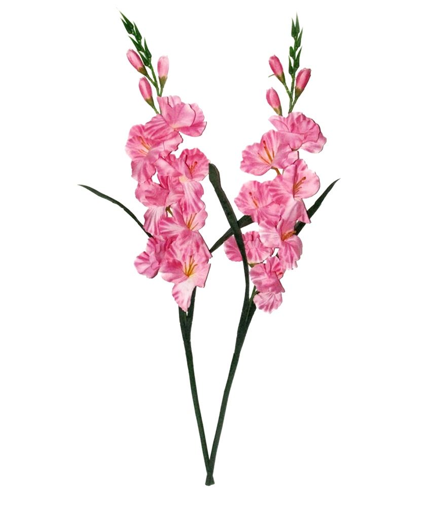 Fourwalls Pink Gladiolus Artificial Flower - Set Of 2: Buy Fourwalls 