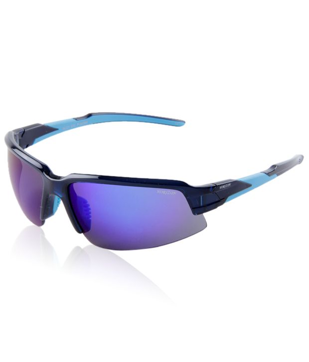 horizon sunglasses