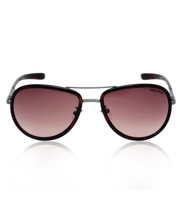 Park Avenue Stylish Brown Aviator Sunglasses - Buy Park Avenue Stylish ...