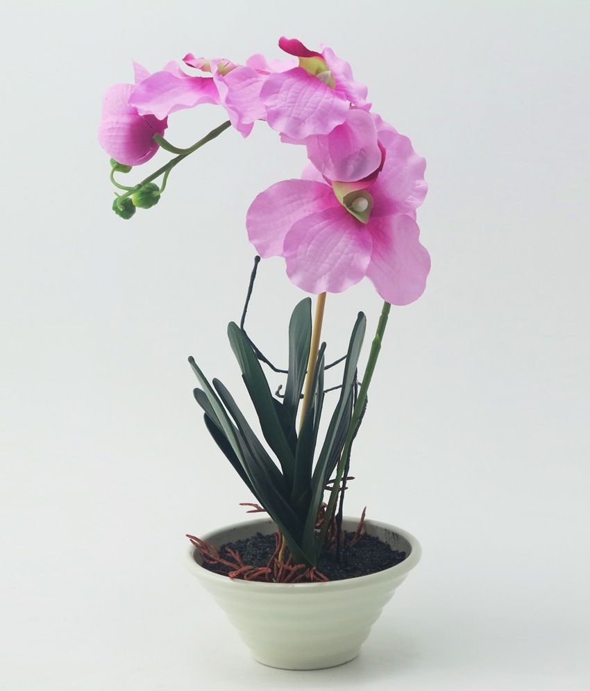 Importwala Faux Pink Plastic, Polyster and Ceramic Orchid Flower ...