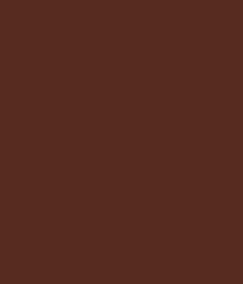 Buy Asian Paints Apcolite Premium Enamel Gloss Brown 0403 Online At Low Price In India Snapdeal