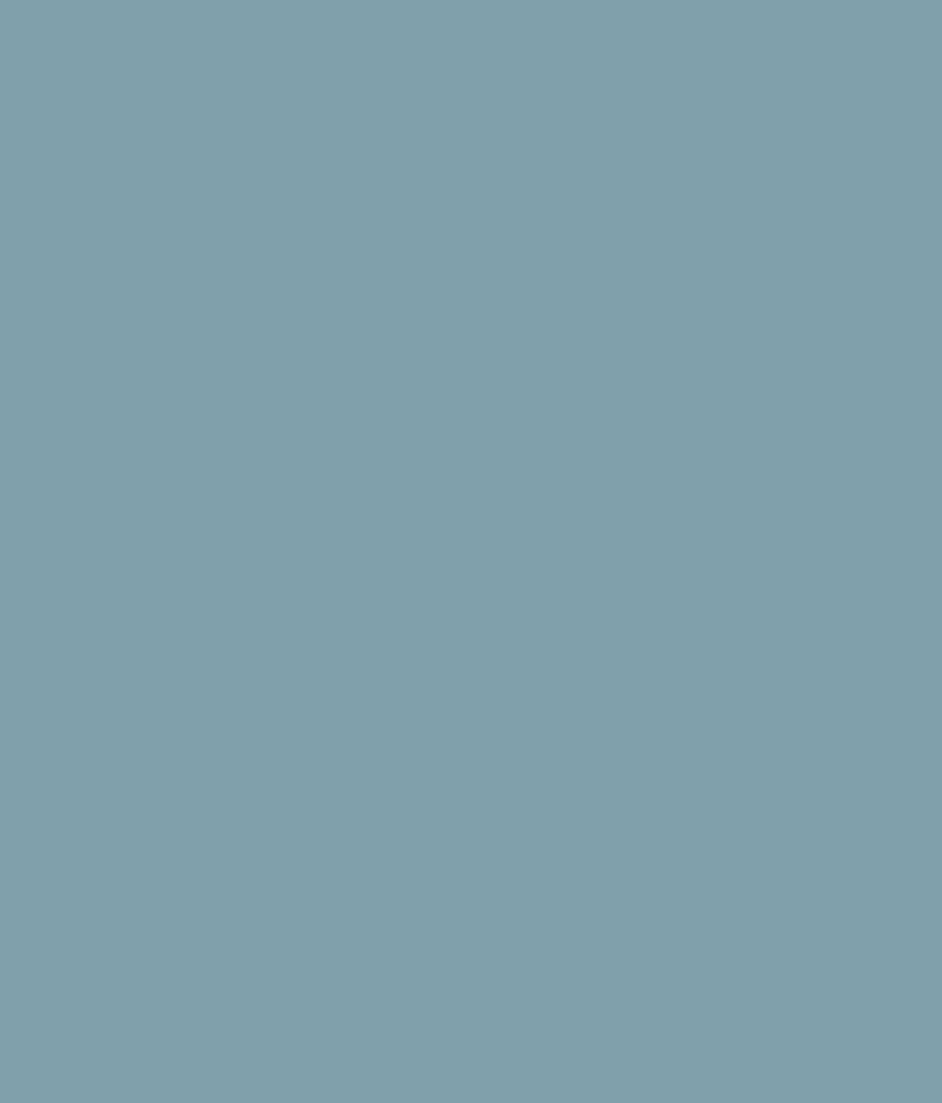 Buy Asian Paints Enamel - Smoke Grey (0616) Online at Low Price in