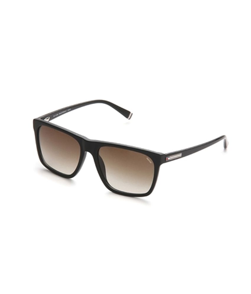 tommy hilfiger sunglasses wayfarer