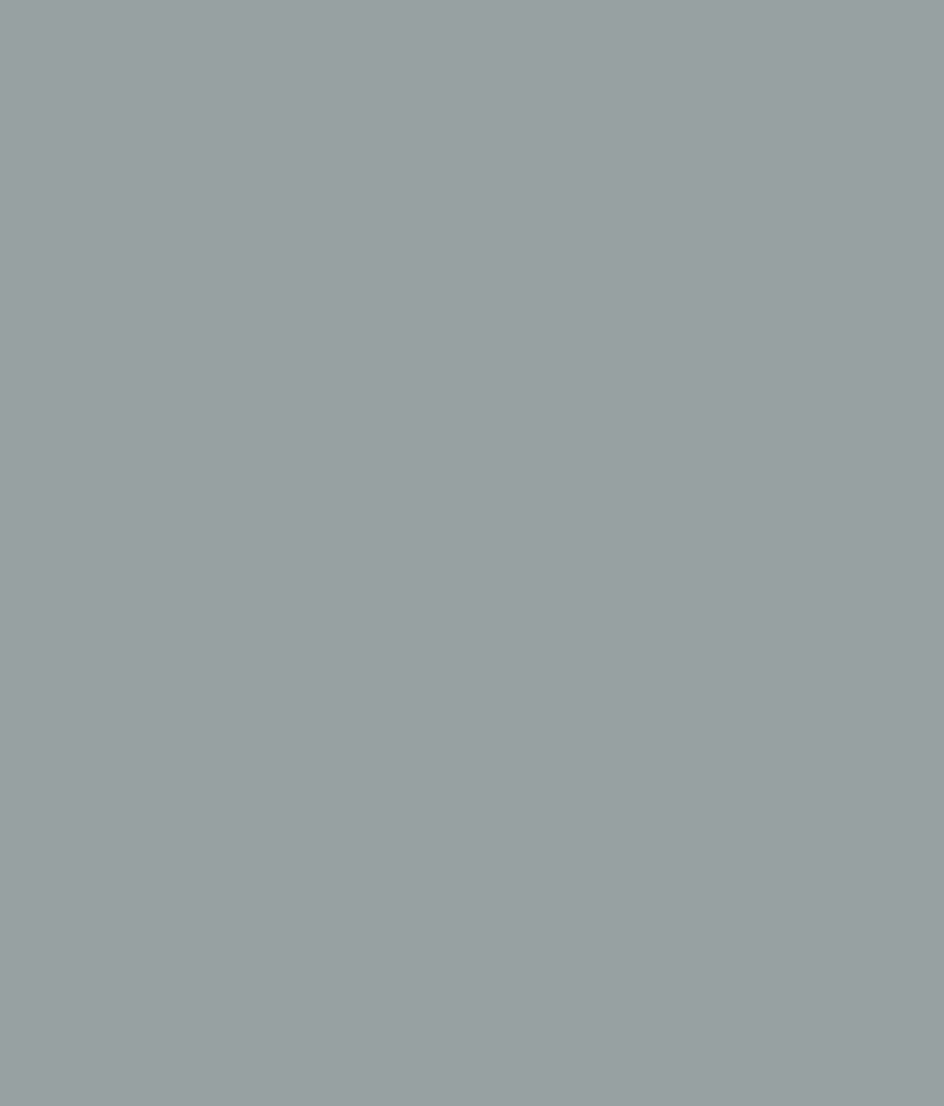 Buy Asian Paints Apex Ultima Gothic Grey Online at Low Price in India