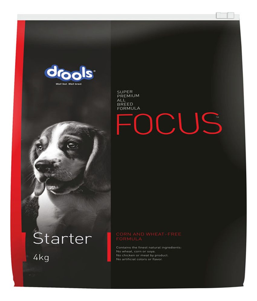 Focus Starter Dog Food 4kg Brown Buy Focus Starter Dog Food 4kg