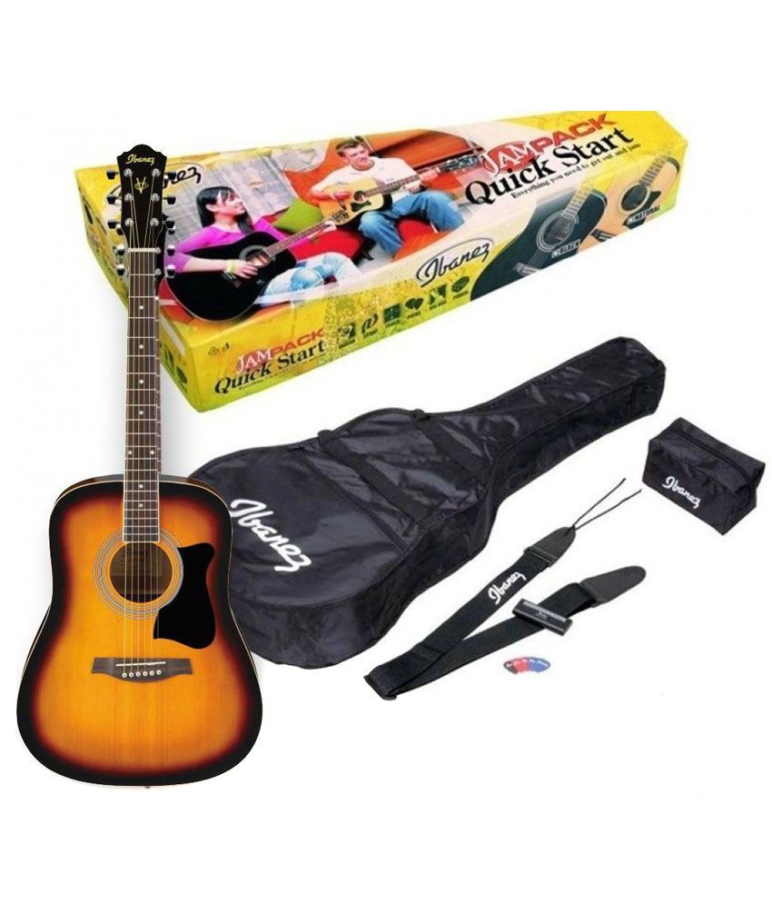 ibanez acoustic guitar case