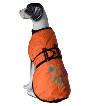 tj maxx dog sweaters