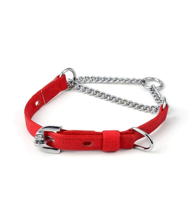 extra thin dog collar