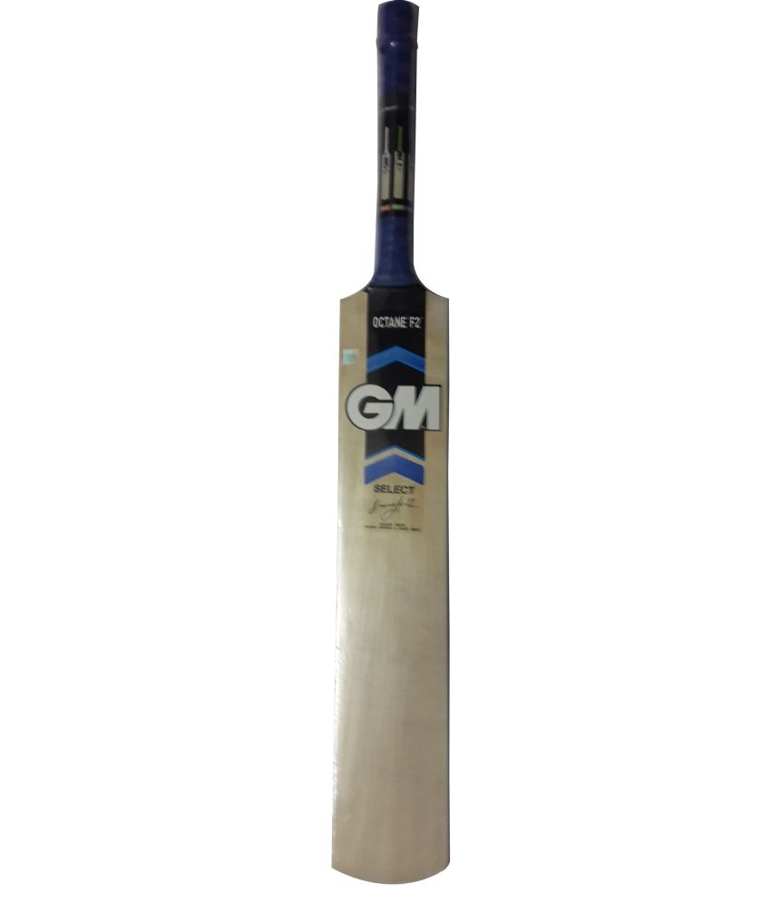 Gm OCTANE F2 Kashmir Willow Cricket Bat Buy Online at Best Price on