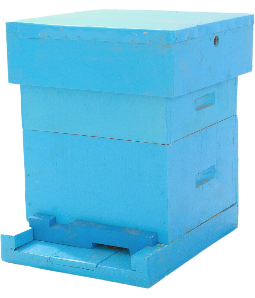 Shenoy Enterprises Blue Bee Box Buy Shenoy Enterprises Blue Bee Box