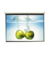 Inlight Wall Type Projector Screen Size: - 9 Ft. x 5 Ft. In Imported High Gain Fabric, 16:9 Format