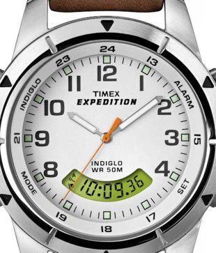 timex t49828