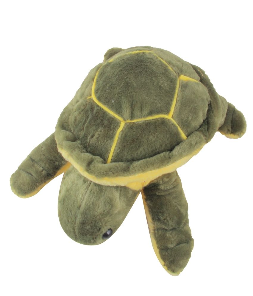 giant tortoise teddy