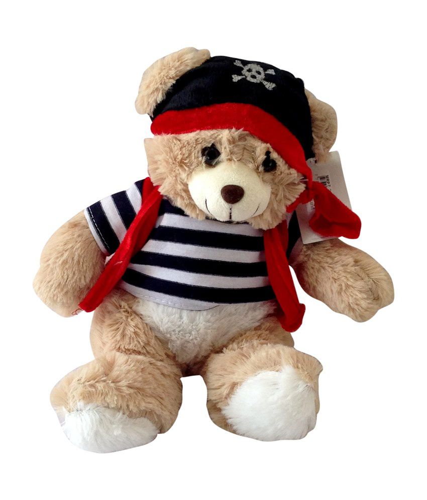 pirate teddy